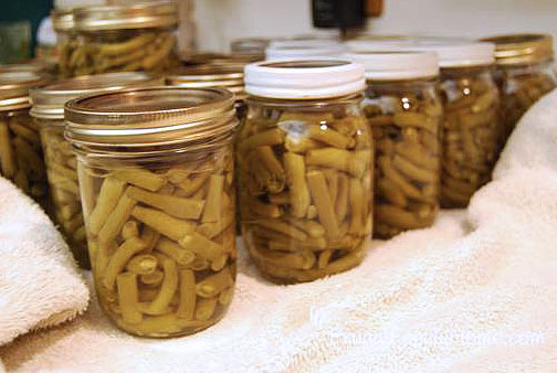 home canned green beans