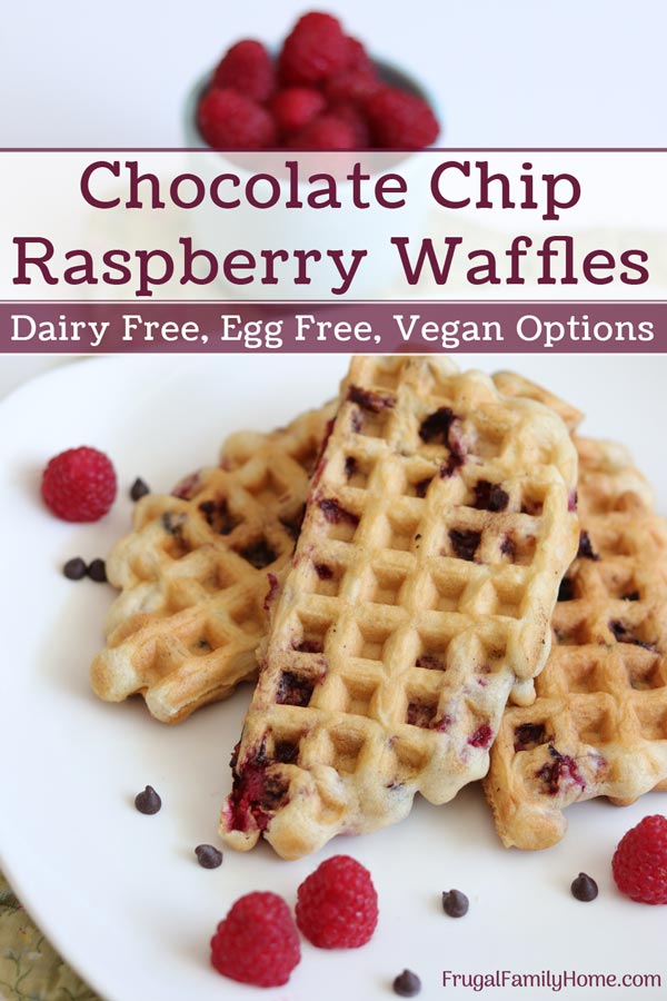 A plate of waffles made from scratch with raspberries and chocolate chips.