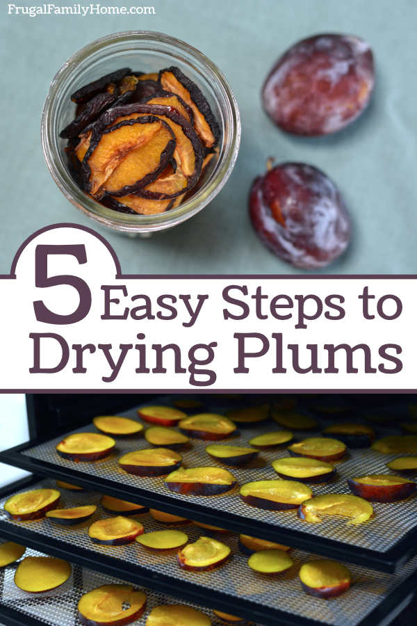 Steps to drying plums at home.