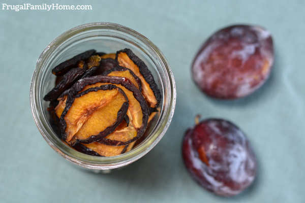 Prunes, or dried plums in a jar for storage.