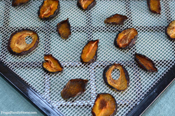Dried plums turned into prunes at home.