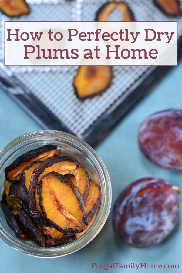 Plums dried and stored in a jar.