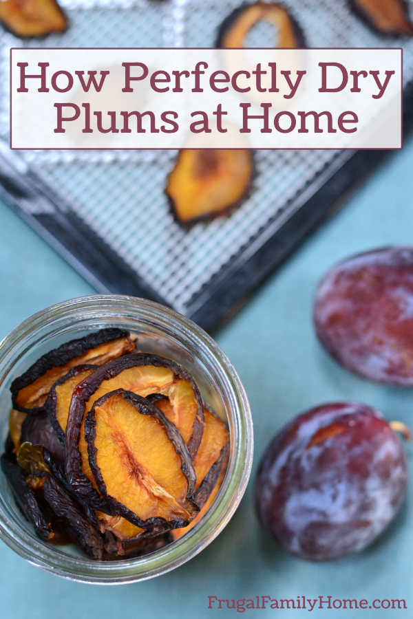 How to Dry Plums in 5 Easy Steps