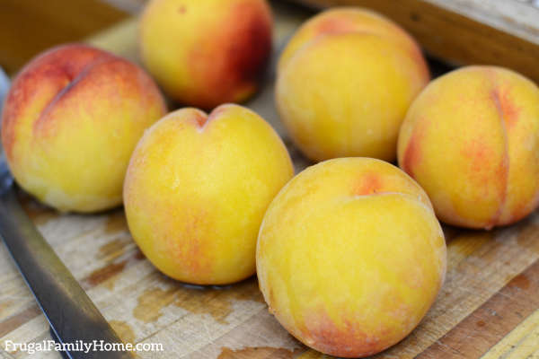 six elberta peaches ready to freeze.