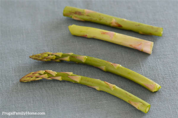 breaking asparagus stalks.