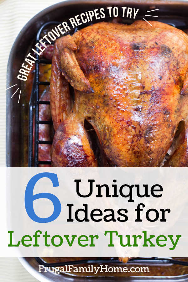 Recipes to use leftover turkey.