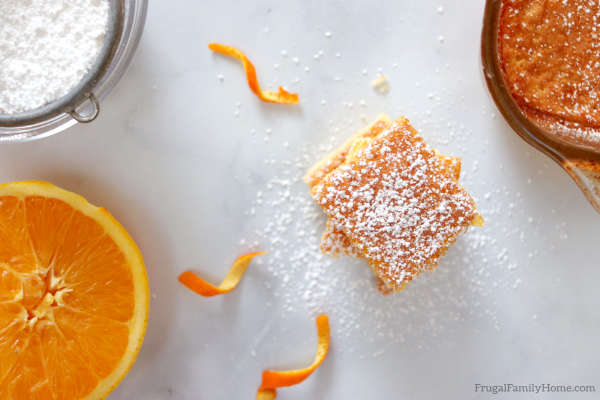 orange, powdered sugar and orange bars