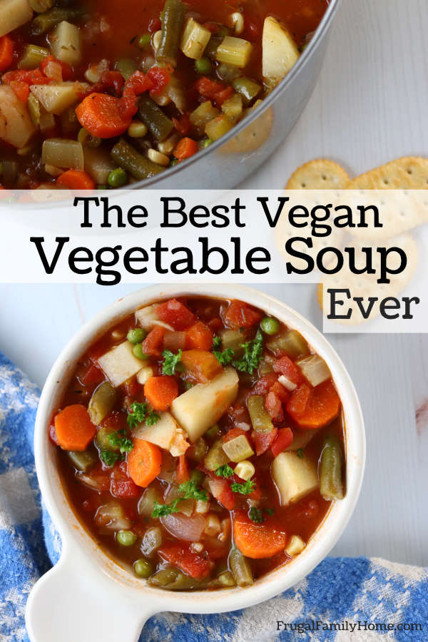How to Make Vegetable Soup from Scratch with Video | Frugal Family Home