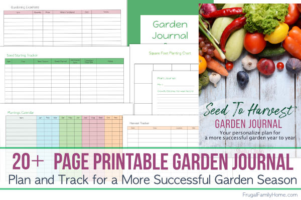 Connecticut Garden Journal: How to grow and when to harvest