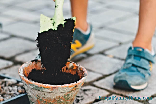 putting soil into a container to garden.