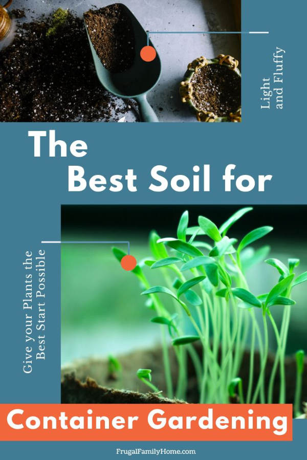 Soil and seedling for the garden