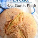 1 hour no knead bread.