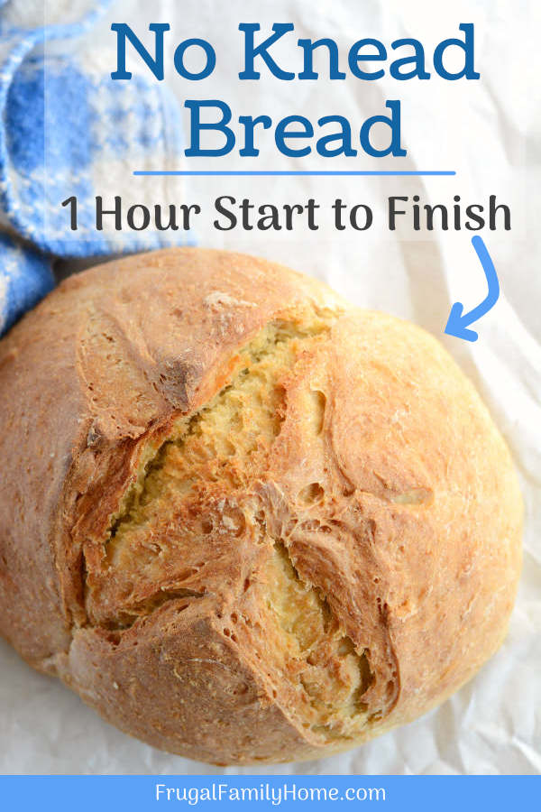 No Knead Bread, Quick and Easy, 1 Hour Recipe