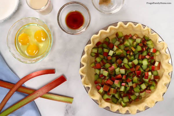 rhubarb in unbaked pie shell.