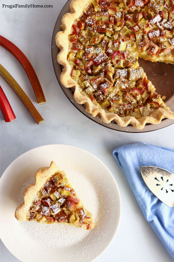 Rhubarb custard pie serving.