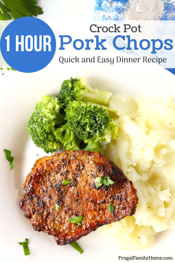 Easy Crock Pot Pork Chops Recipe, Made in an Hour