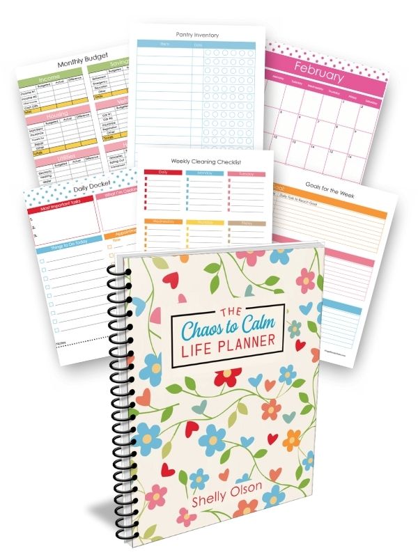 Pages in the Chaos to Calm Life Planner