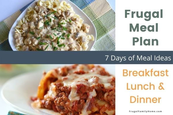 Two dinner recipes in the meal plan.