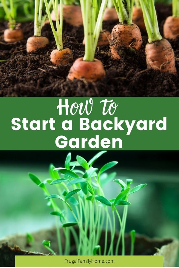How To Start A Vegetable Garden From, Tips For Starting A Garden From Scratch