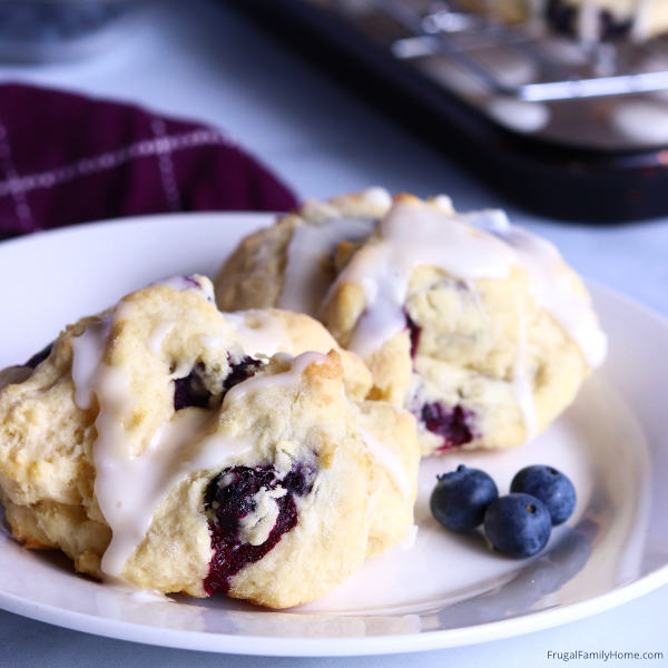 blueberry biscuits served on a plate