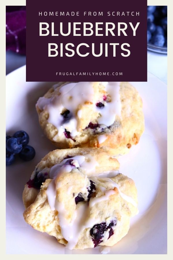 Blueberry Biscuit Recipe Banner